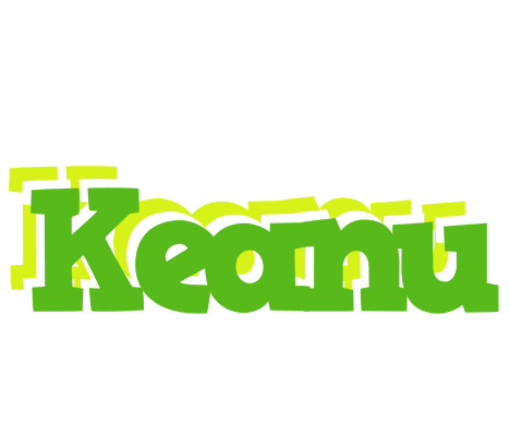 Keanu picnic logo