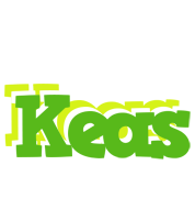 Keas picnic logo