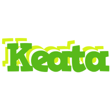 Keata picnic logo