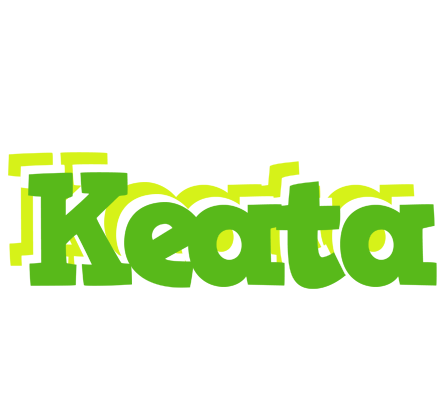Keata picnic logo