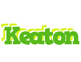 Keaton picnic logo