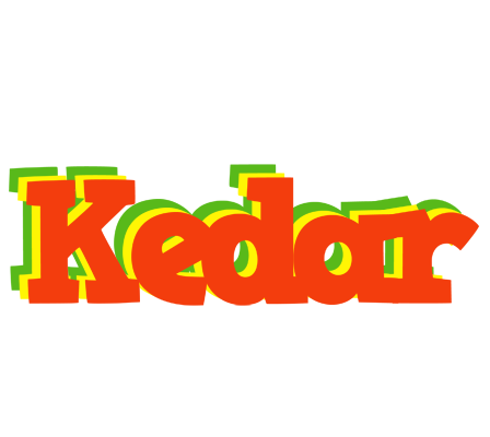 Kedar bbq logo