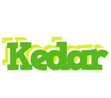 Kedar picnic logo