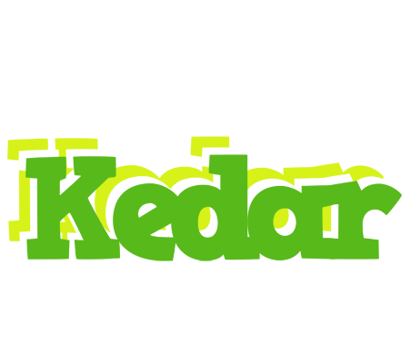 Kedar picnic logo