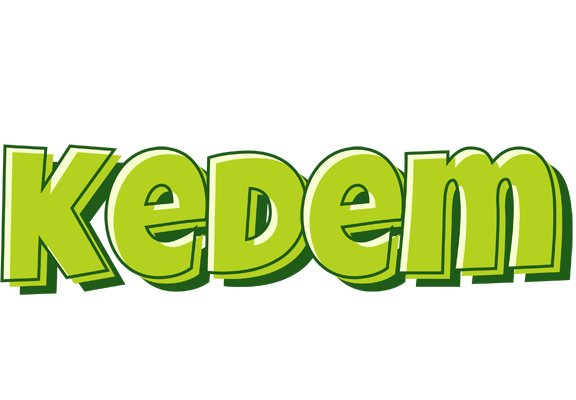 Kedem summer logo