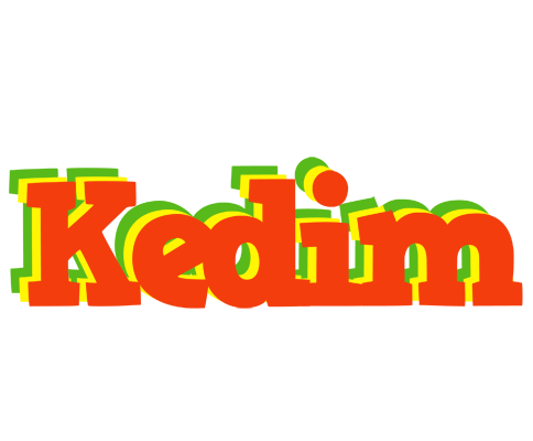 Kedim bbq logo