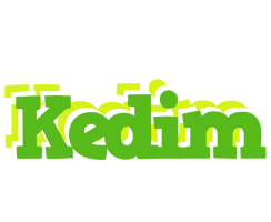 Kedim picnic logo