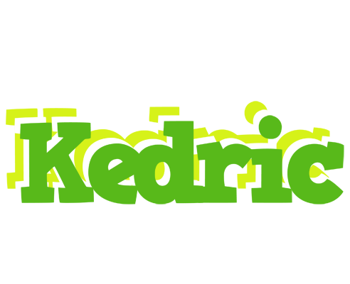 Kedric picnic logo