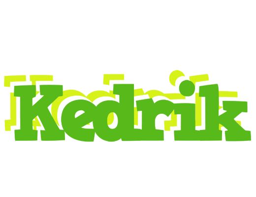 Kedrik picnic logo