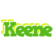 Keene picnic logo