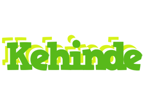 Kehinde picnic logo