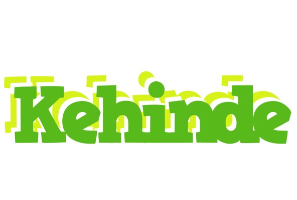 Kehinde picnic logo