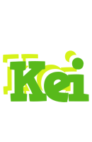 Kei picnic logo