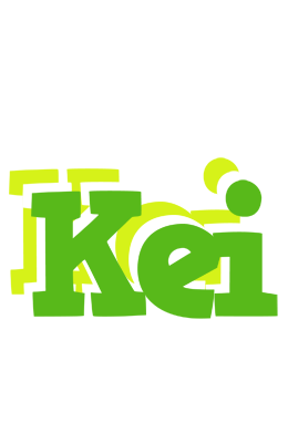 Kei picnic logo