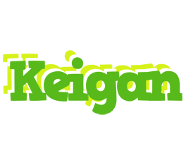 Keigan picnic logo