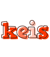 Keis paint logo