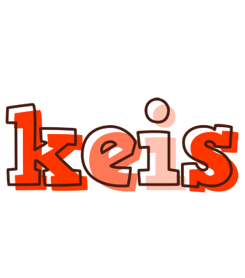 Keis paint logo