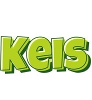 Keis summer logo