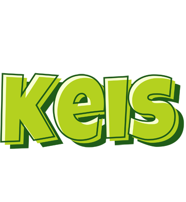 Keis summer logo
