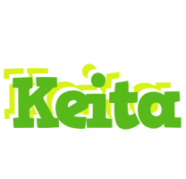 Keita picnic logo