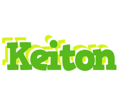 Keiton picnic logo