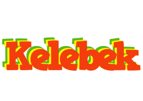 Kelebek bbq logo