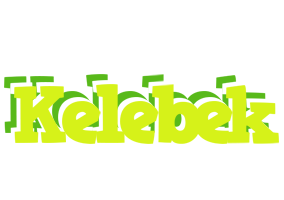 Kelebek citrus logo