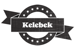 Kelebek grunge logo