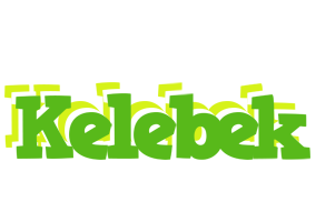 Kelebek picnic logo