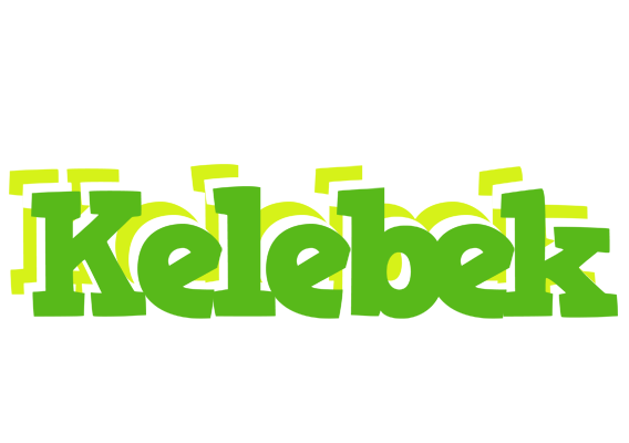 Kelebek picnic logo