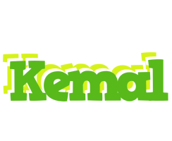 Kemal picnic logo