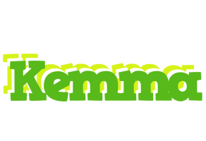 Kemma picnic logo