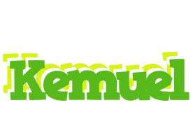 Kemuel picnic logo