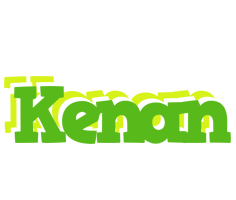 Kenan picnic logo