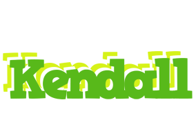 Kendall picnic logo