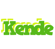 Kende picnic logo