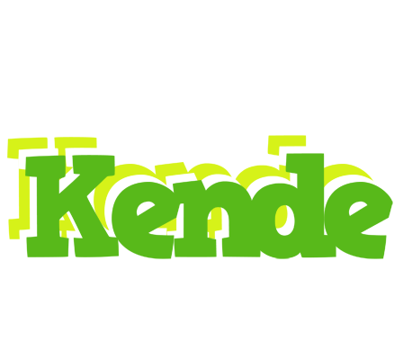 Kende picnic logo