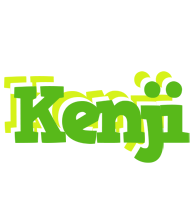 Kenji picnic logo