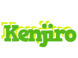 Kenjiro picnic logo