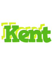 Kent picnic logo