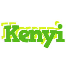 Kenyi picnic logo