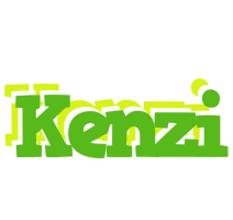 Kenzi picnic logo