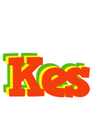 Kes bbq logo