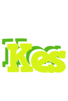 Kes citrus logo