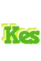 Kes picnic logo