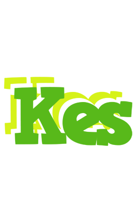 Kes picnic logo
