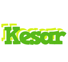 Kesar picnic logo