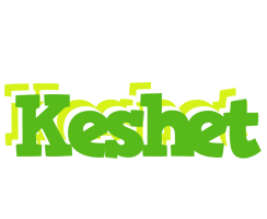 Keshet picnic logo