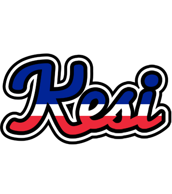 Kesi france logo
