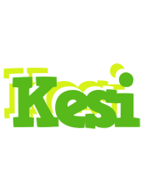 Kesi picnic logo